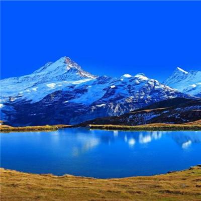 星空下载站官网app下载